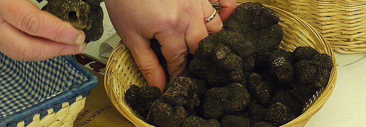 Tartufo nero